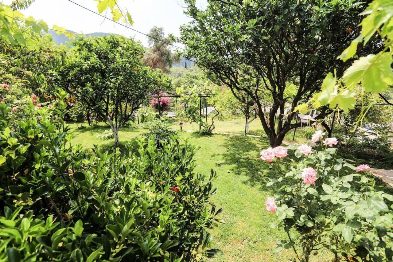 Garden House Kastellani Guest House Kastellanoi  Екстериор снимка