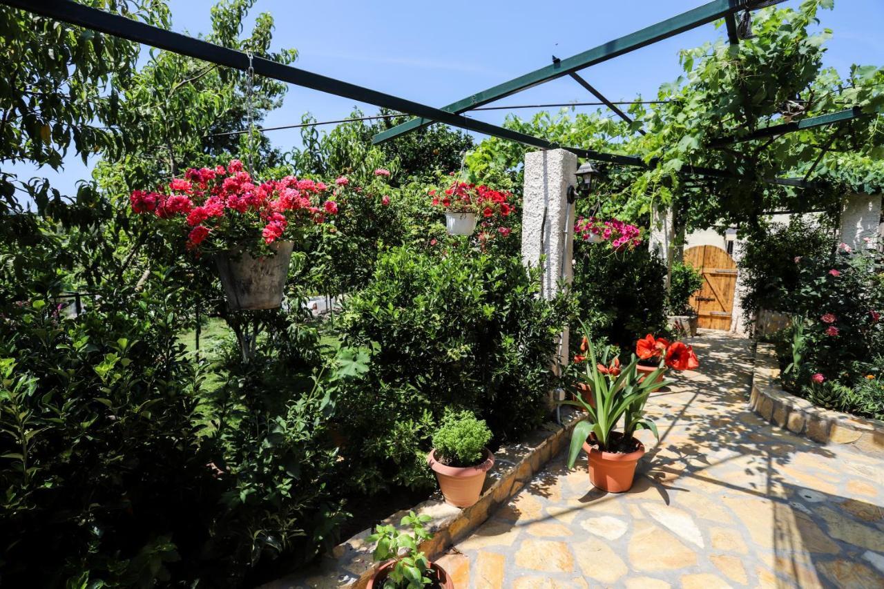 Garden House Kastellani Guest House Kastellanoi  Екстериор снимка